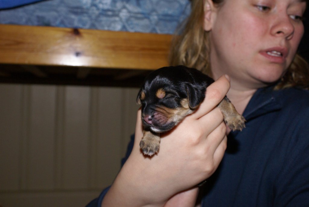 daysoldcole.jpg