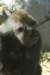 sandiego200709258_small.jpg