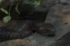 sandiego20078804_small.jpg