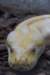sandiego20078825_small.jpg