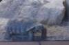 sandiego20078833_small.jpg