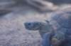 sandiego20078837_small.jpg