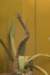 sandiego20078841_small.jpg