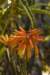 sandiego20078875_small.jpg