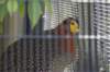 sandiego20078892_small.jpg