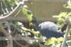 sandiego20078896_small.jpg