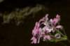 sandiego20078898_small.jpg