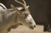 sandiego20078901_small.jpg