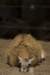 sandiego20078914_small.jpg