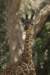 sandiego20078943_small.jpg