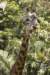 sandiego20078951_small.jpg