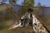 sandiego20078958_small.jpg