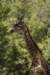 sandiego20078988_small.jpg