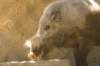 sandiego20079003_small.jpg