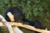 sandiego20079169_small.jpg