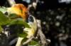sandiego20079215_small.jpg