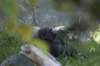 sandiego20079248_small.jpg