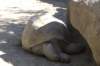 sandiego20079353_small.jpg