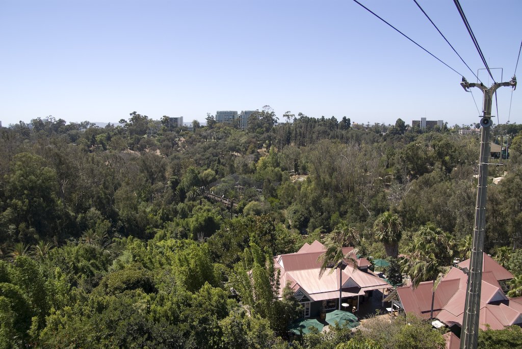 theviewfromthegondala.jpg