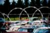 barbwire_small.jpg