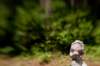 lensbabybride_small.jpg