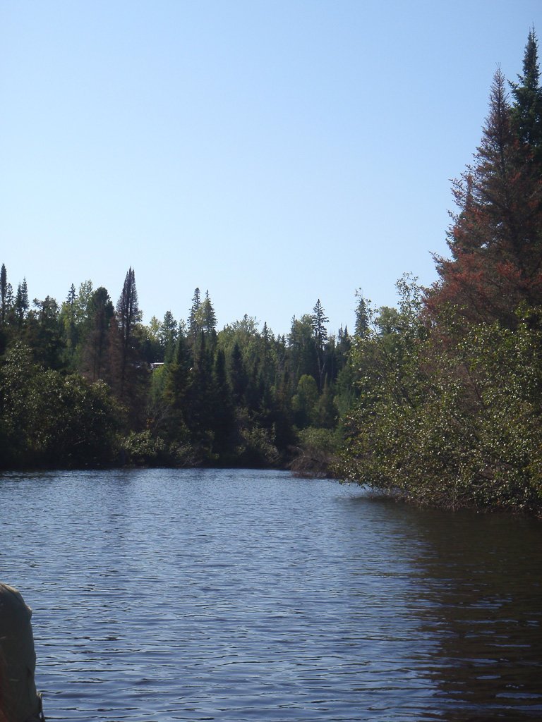 theriverrunsthrough.jpg