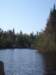 theriverrunsthrough_small.jpg