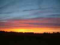 Photo Number 4