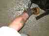 Photo Number 2