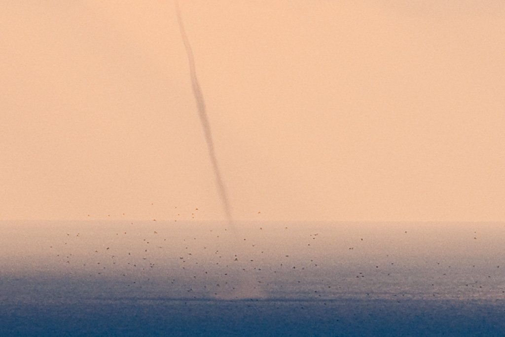 fishbeingthrownbythewaterspout.jpg
