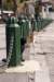 turkishcats_small.jpg