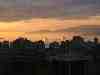 Photo Number 5