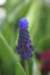 dsc03431_small.jpg