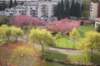 dsc03454_small.jpg