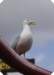 dsc03470_small.jpg