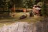 dsc03501_small.jpg