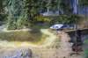 dsc03502_small.jpg