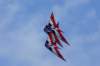 dsc03541_small.jpg