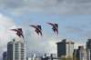dsc03543_small.jpg
