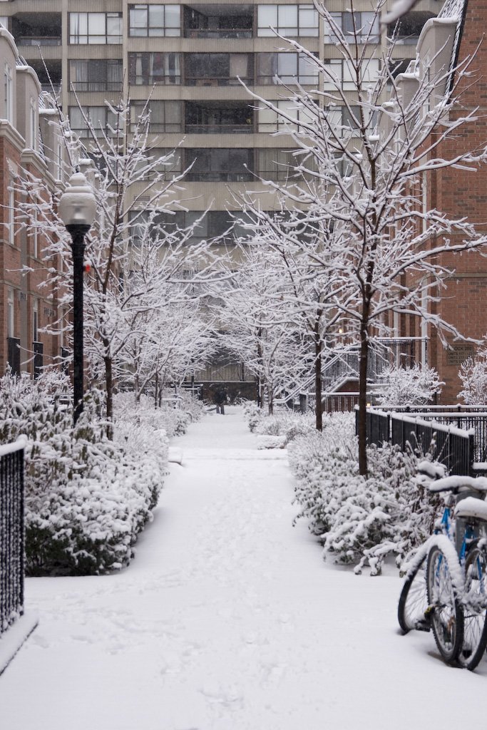 winter10.jpg