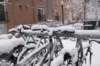 winter11_small.jpg