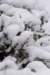 winter12_small.jpg