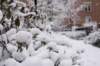 winter13_small.jpg