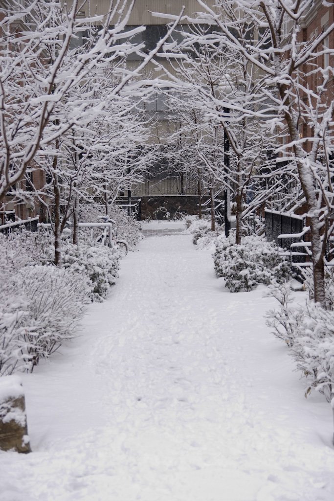 winter16.jpg