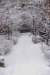 winter16_small.jpg