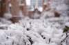 winter17_small.jpg