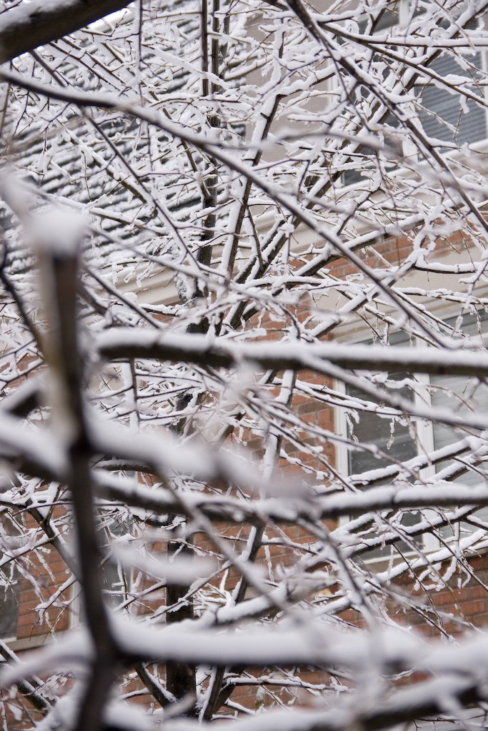 winter19.jpg