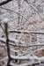 winter19_small.jpg