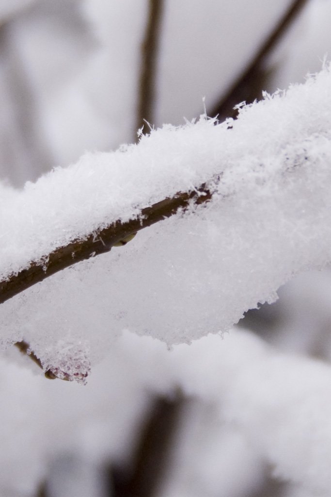 winter20.jpg