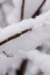 winter20_small.jpg
